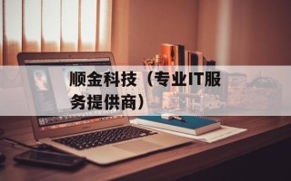 顺金科技（专业IT服务提供商）