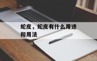 蛇皮，蛇皮有什么用途和用法