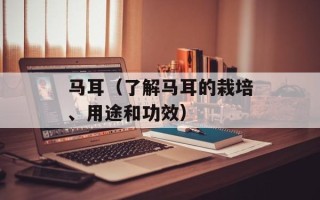马耳（了解马耳的栽培、用途和功效）