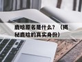 鹿晗原名是什么？（揭秘鹿晗的真实身份）