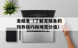 龙睛鱼（了解龙睛鱼的饲养技巧和观赏价值）