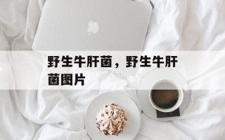 野生牛肝菌，野生牛肝菌图片