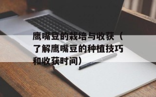 鹰嘴豆的栽培与收获（了解鹰嘴豆的种植技巧和收获时间）