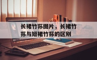 长裙竹荪图片，长裙竹荪与短裙竹荪的区别