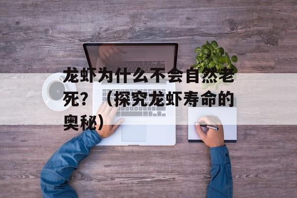 龙虾为什么不会自然老死？（探究龙虾寿命的奥秘）-第1张图片-