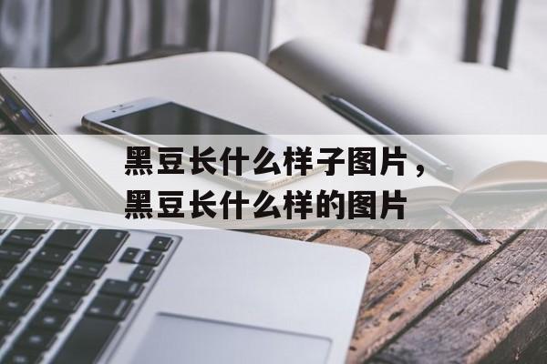 黑豆长什么样子图片，黑豆长什么样的图片-第1张图片-