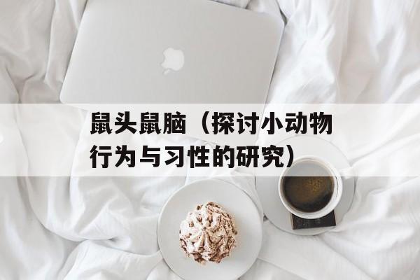 鼠头鼠脑（探讨小动物行为与习性的研究）-第1张图片-