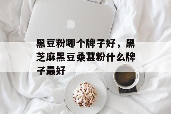 黑豆粉哪个牌子好，黑芝麻黑豆桑葚粉什么牌子最好-第1张图片-