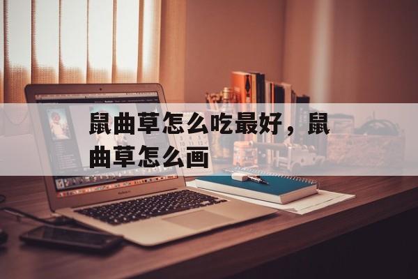 鼠曲草怎么吃最好，鼠曲草怎么画-第1张图片-