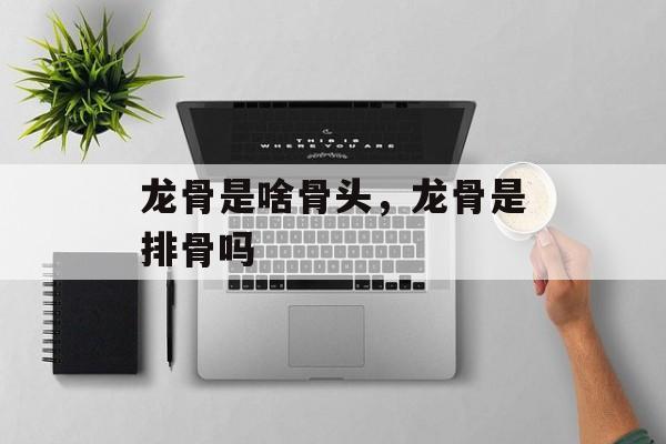 龙骨是啥骨头，龙骨是排骨吗-第1张图片-