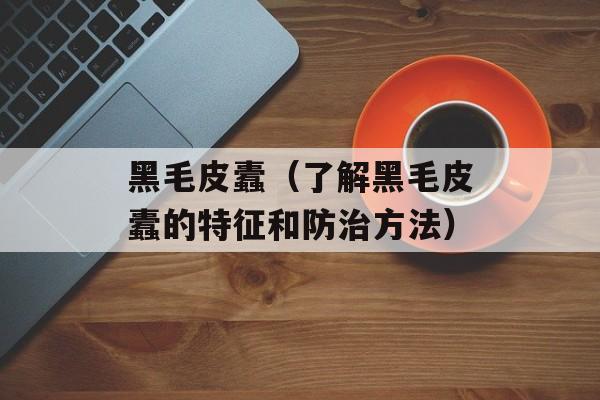 黑毛皮蠹（了解黑毛皮蠹的特征和防治方法）-第1张图片-