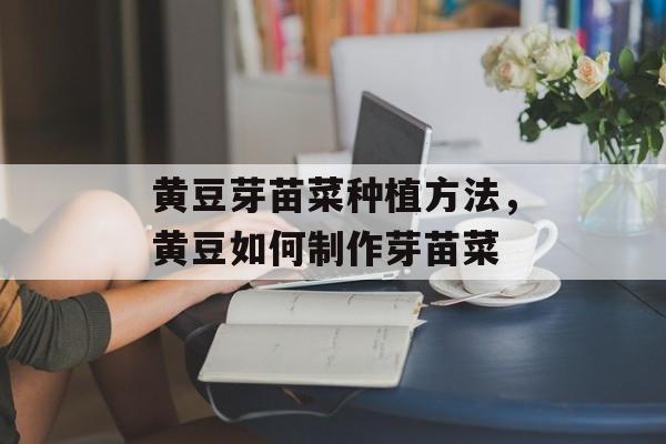 黄豆芽苗菜种植方法，黄豆如何制作芽苗菜-第1张图片-
