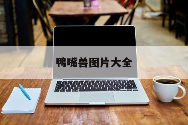 鸭嘴兽图片大全-第1张图片-