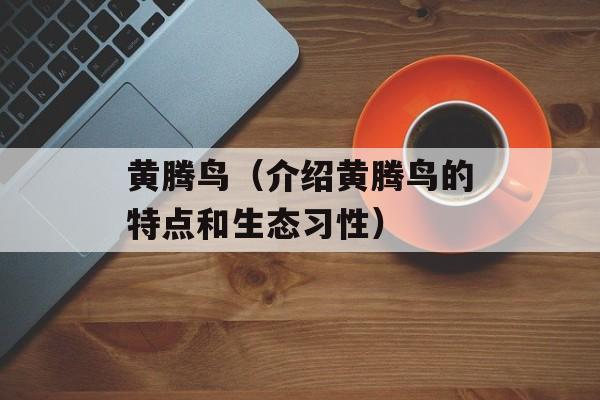黄腾鸟（介绍黄腾鸟的特点和生态习性）-第1张图片-