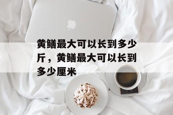 黄鳝最大可以长到多少斤，黄鳝最大可以长到多少厘米-第1张图片-
