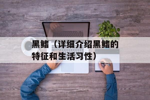 黑鳍（详细介绍黑鳍的特征和生活习性）-第1张图片-