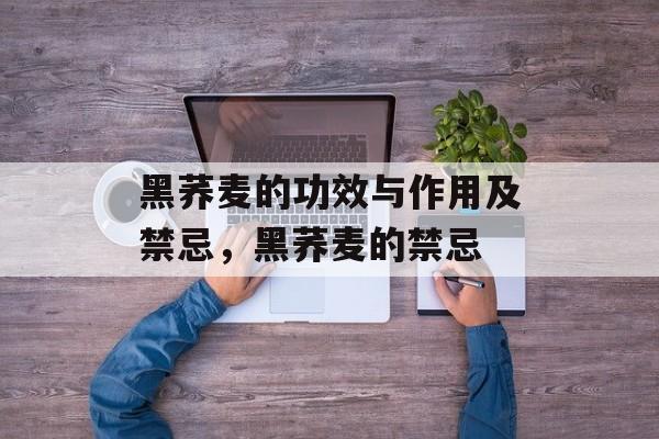 黑荞麦的功效与作用及禁忌，黑荞麦的禁忌-第1张图片-
