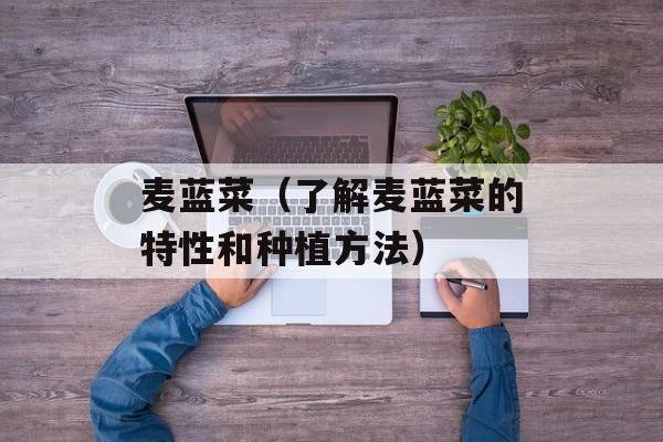 麦蓝菜（了解麦蓝菜的特性和种植方法）-第1张图片-