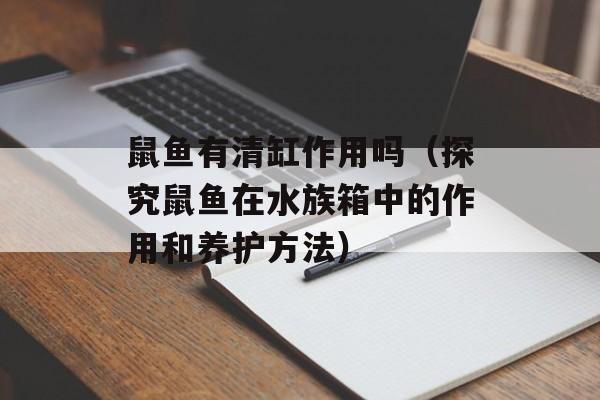 鼠鱼有清缸作用吗（探究鼠鱼在水族箱中的作用和养护方法）-第1张图片-