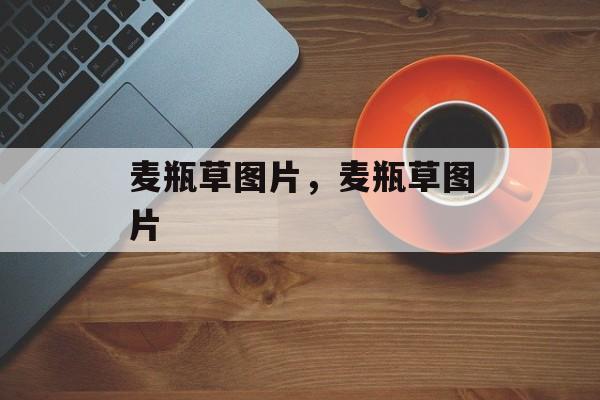 麦瓶草图片，麦瓶草图片-第1张图片-