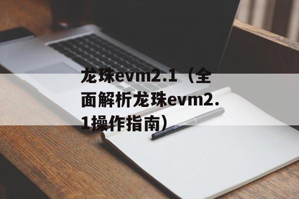 龙珠evm2.1（全面解析龙珠evm2.1操作指南）-第1张图片-