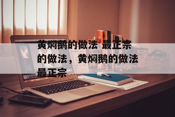 黄焖鹅的做法 最正宗的做法，黄焖鹅的做法最正宗-第1张图片-