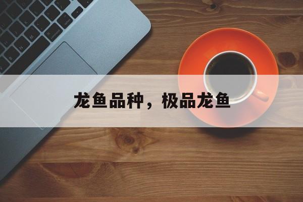 龙鱼品种，极品龙鱼-第1张图片-