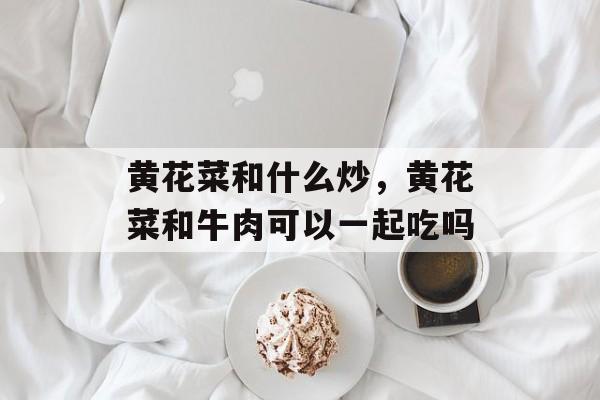 黄花菜和什么炒，黄花菜和牛肉可以一起吃吗-第1张图片-