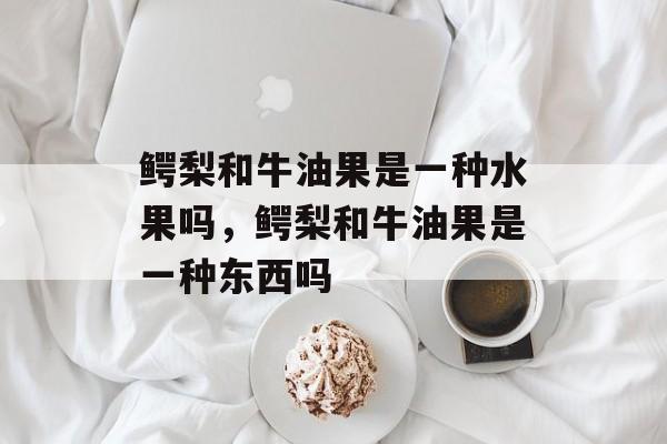 鳄梨和牛油果是一种水果吗，鳄梨和牛油果是一种东西吗-第1张图片-