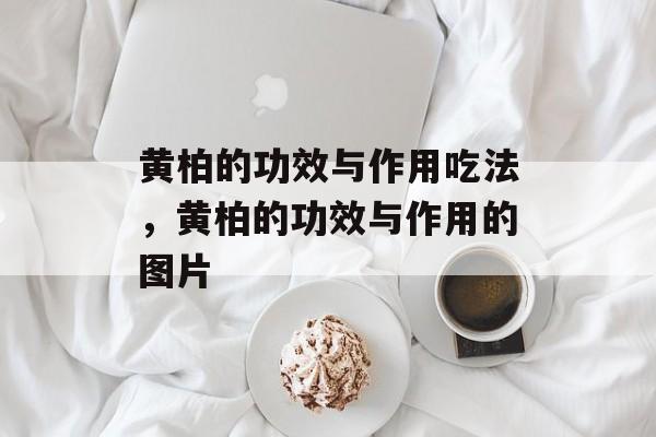 黄柏的功效与作用吃法，黄柏的功效与作用的图片-第1张图片-