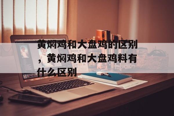黄焖鸡和大盘鸡的区别，黄焖鸡和大盘鸡料有什么区别-第1张图片-