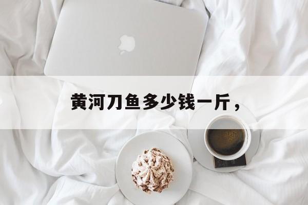 黄河刀鱼多少钱一斤，-第1张图片-