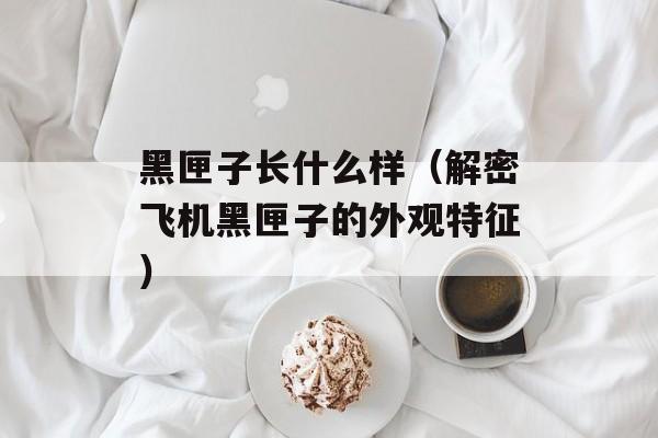 黑匣子长什么样（解密飞机黑匣子的外观特征）-第1张图片-