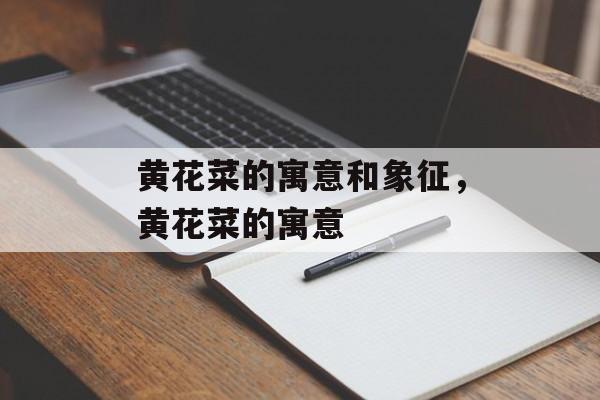 黄花菜的寓意和象征，黄花菜的寓意-第1张图片-