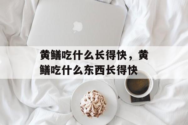 黄鳝吃什么长得快，黄鳝吃什么东西长得快-第1张图片-