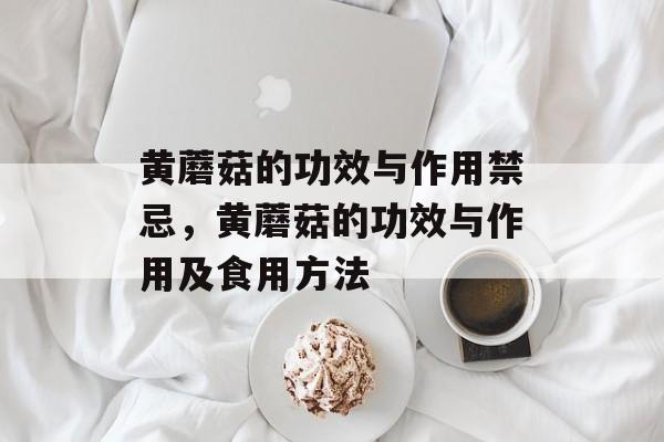 黄蘑菇的功效与作用禁忌，黄蘑菇的功效与作用及食用方法-第1张图片-