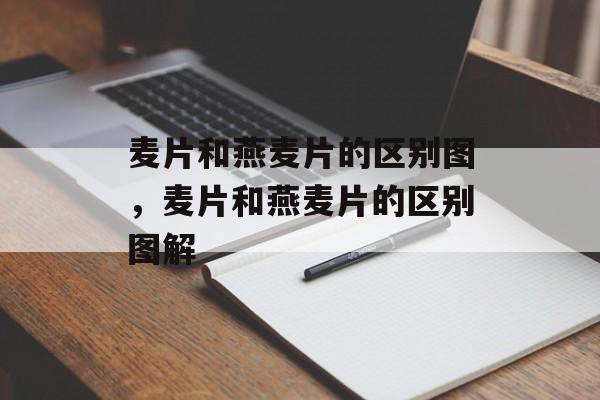麦片和燕麦片的区别图，麦片和燕麦片的区别图解-第1张图片-