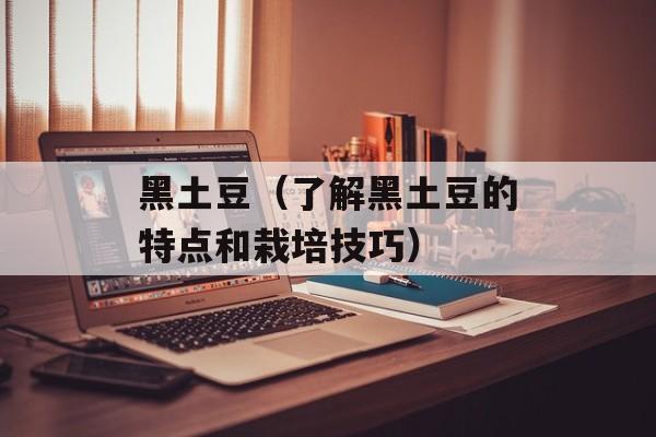 黑土豆（了解黑土豆的特点和栽培技巧）-第1张图片-
