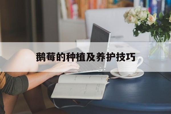 鹅莓的种植及养护技巧-第1张图片-