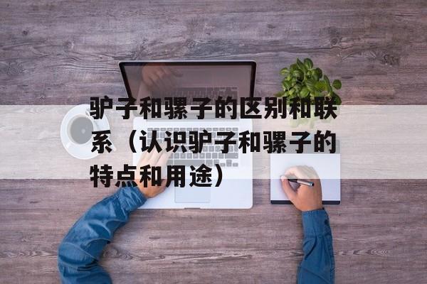 驴子和骡子的区别和联系（认识驴子和骡子的特点和用途）-第1张图片-