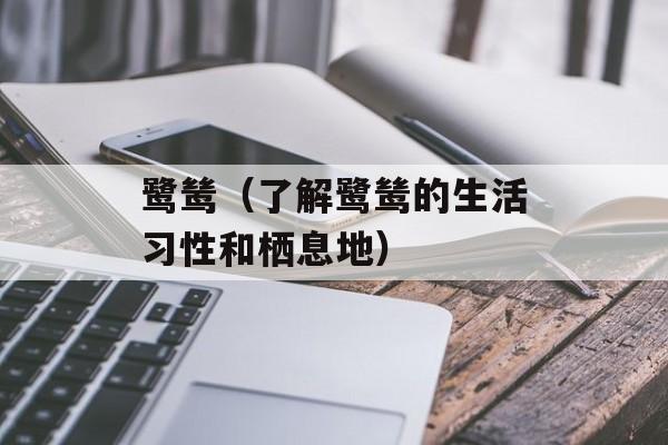 鹭鸶（了解鹭鸶的生活习性和栖息地）-第1张图片-