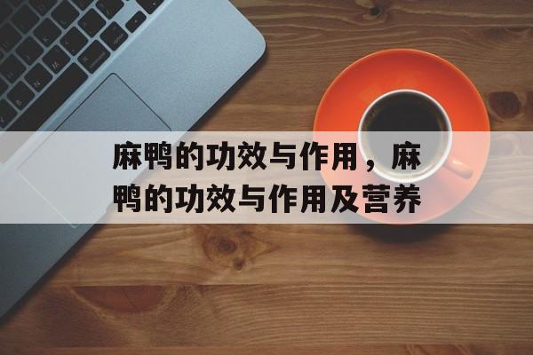 麻鸭的功效与作用，麻鸭的功效与作用及营养-第1张图片-