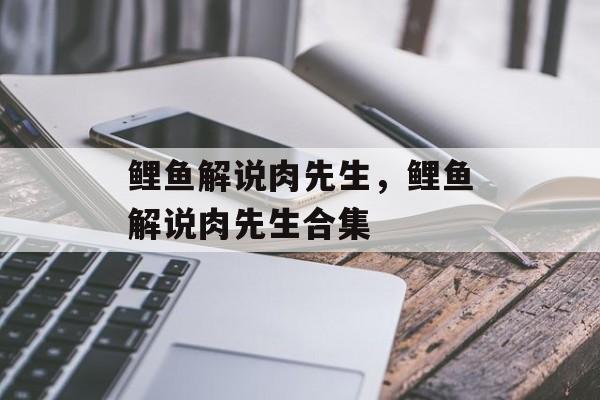 鲤鱼解说肉先生，鲤鱼解说肉先生合集-第1张图片-