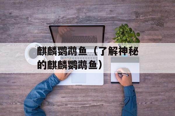 麒麟鹦鹉鱼（了解神秘的麒麟鹦鹉鱼）-第1张图片-