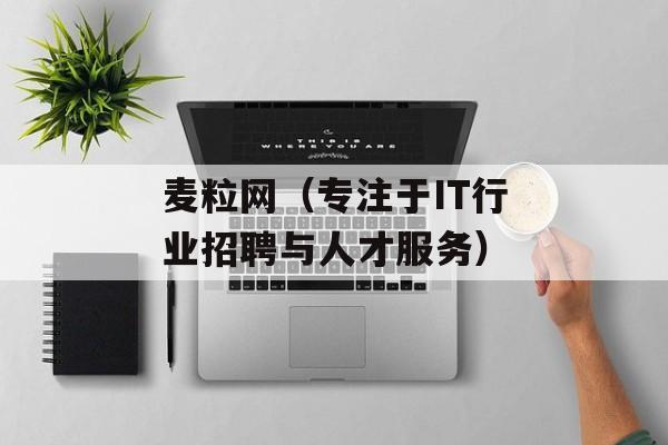麦粒网（专注于IT行业招聘与人才服务）-第1张图片-