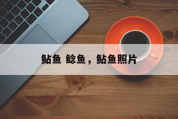 鲇鱼 鲶鱼，鲇鱼照片-第1张图片-