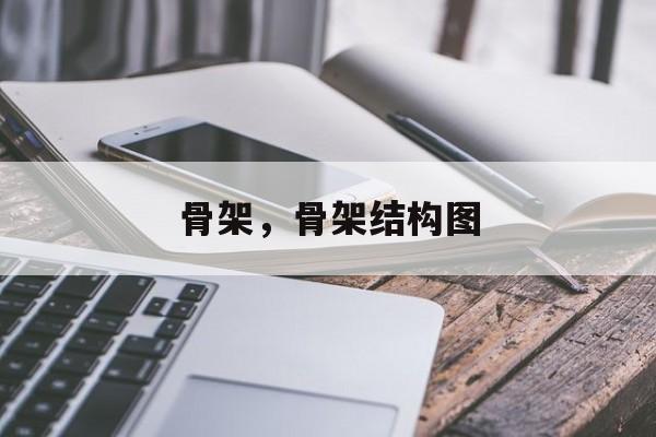 骨架，骨架结构图-第1张图片-