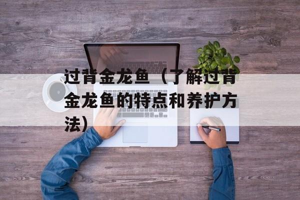 过背金龙鱼（了解过背金龙鱼的特点和养护方法）-第1张图片-