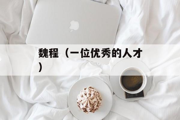 魏程（一位优秀的人才）-第1张图片-