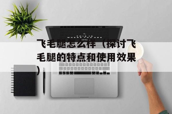 飞毛腿怎么样（探讨飞毛腿的特点和使用效果）-第1张图片-